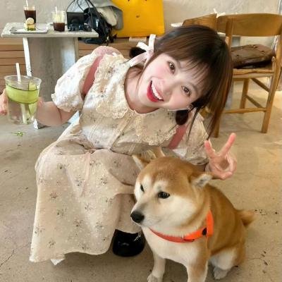 恶灵坎蒂莎